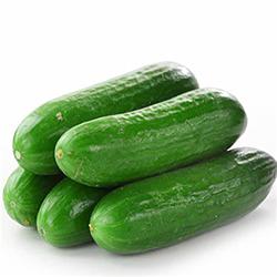 VEGETABLES - CUCUMBERS ENGLISH MED/LRG 12 EA