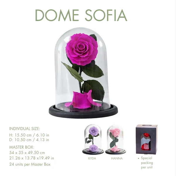 PRESERVED ROSE DOME BIG 1UN