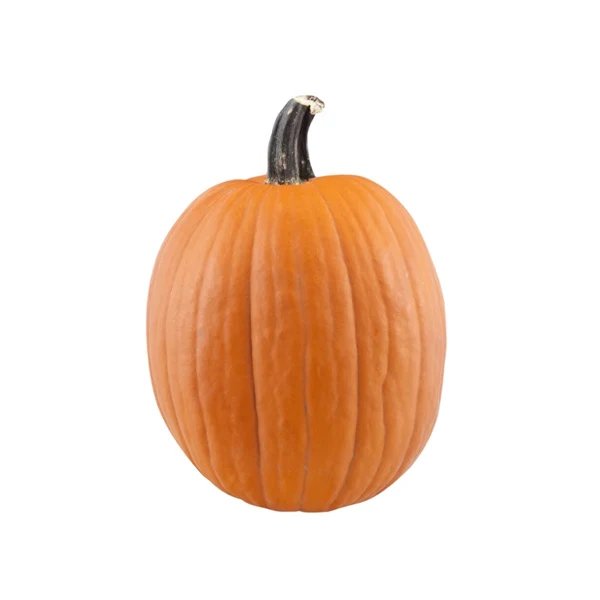 Vegetables - Pumpkin Orange (Pie) Small 1EA
