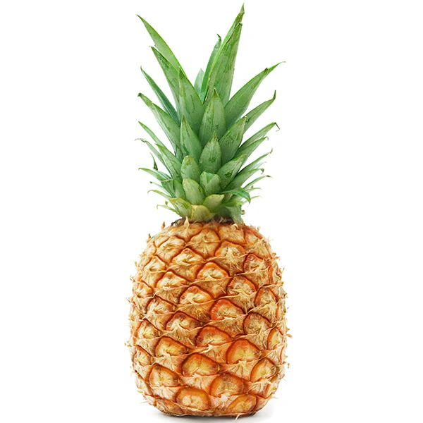 FRUIT - PINEAPPLE GOLD CASE 6CT