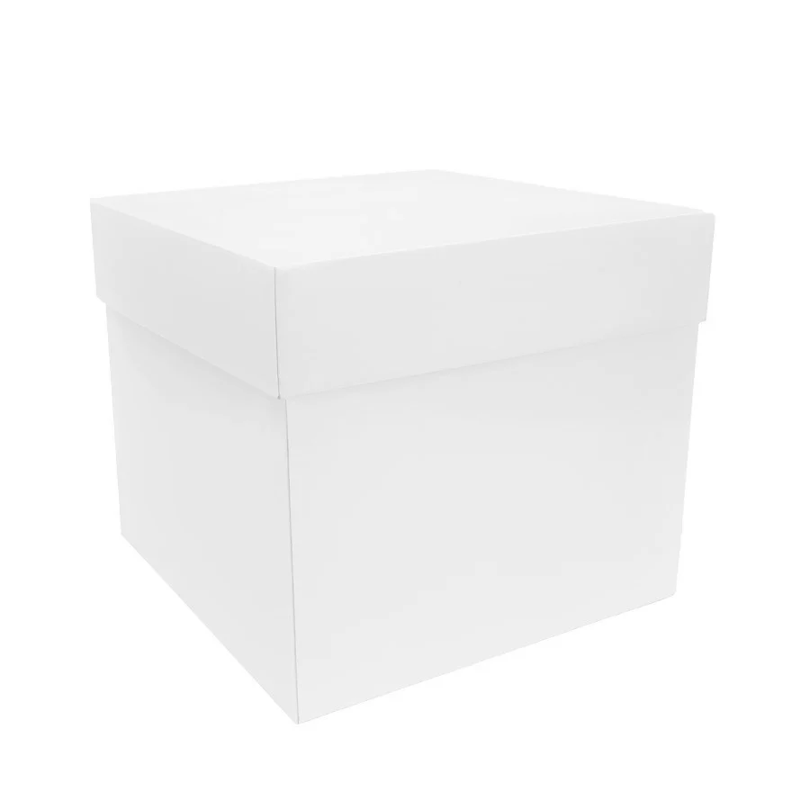 LUV2PAK - 6x6x5x2" HABITAT DISPLAY WHITE BOX EA