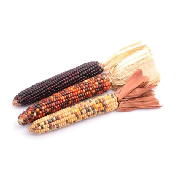 Vegetables - Indian Corn (Mini) Bunch 1 EA