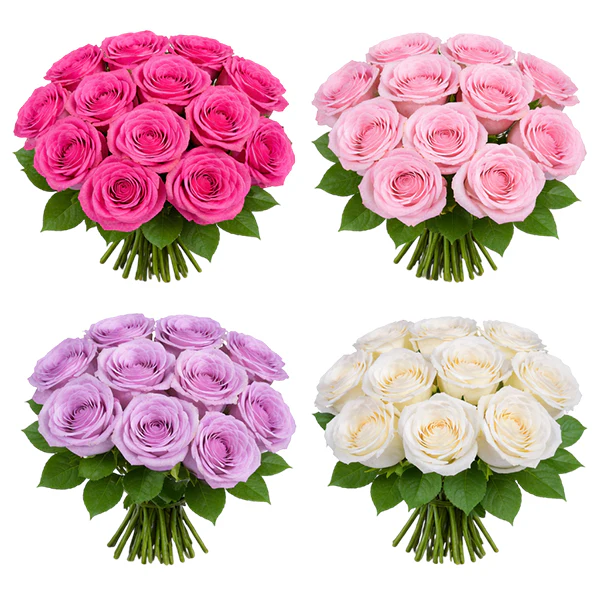 50CM MOTHER'S DAY MIX ROSES 25 STEMS