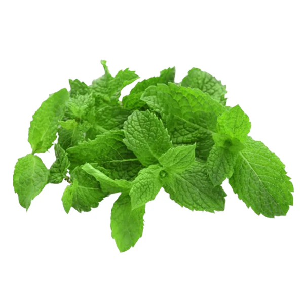 VEGETABLES - MINT HERB 12CT 12 EA