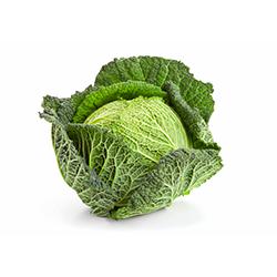 5 - CABBAGE SAVOY 1EA