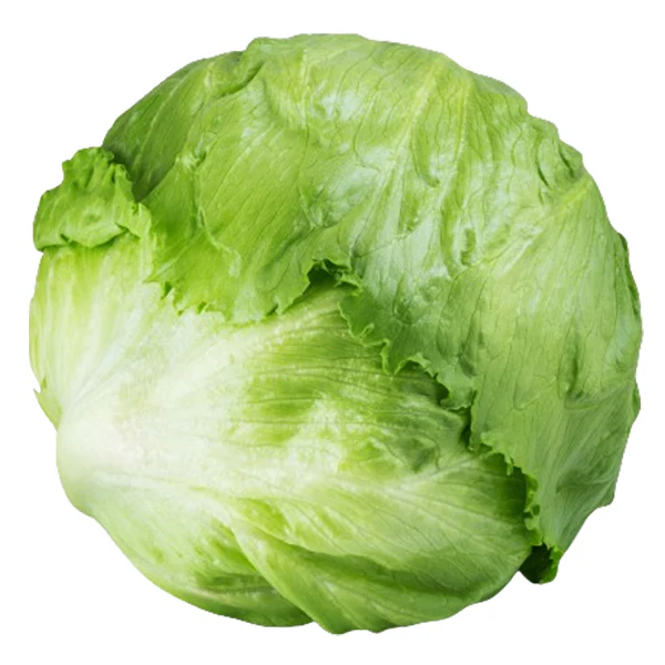 VEGETABLES - LETTUCE ICEBERG JUMBO CASE 30 EA