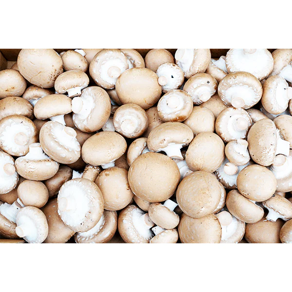 VEGETABLES - MUSHROOMS # 1 BULK 5LB 5 LBS