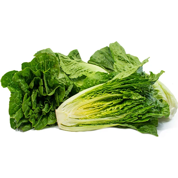 VEGETABLES - LETTUCE ROMAINE USA CASE 24 EA
