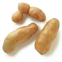 VEGETABLES - POTATOES FINGERLING REPACK 5 LBS