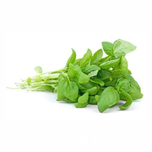 VEGETABLES - BASIL GREEN REPACK 3 EA