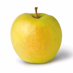 FRUITS - APPLES GOLDEN DELICIOUS CASE 40LB