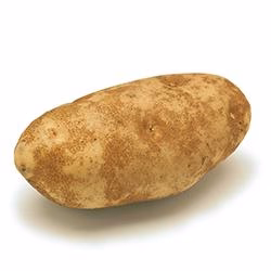 VEGETABLES - POTATOES RUSSET REPACK 5 LBS