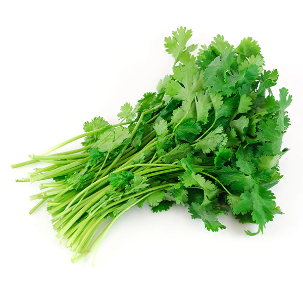VEGETABLES - CILANTRO CASE 24CT 24 EA
