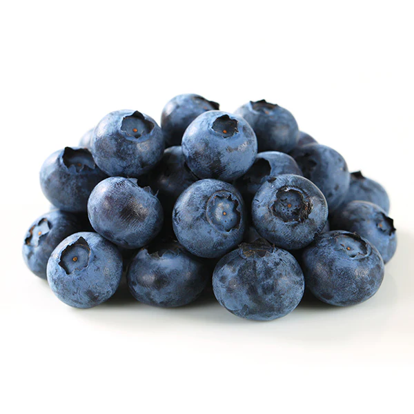 FRUITS - BLUEBERRIES CASE 12x170 GR