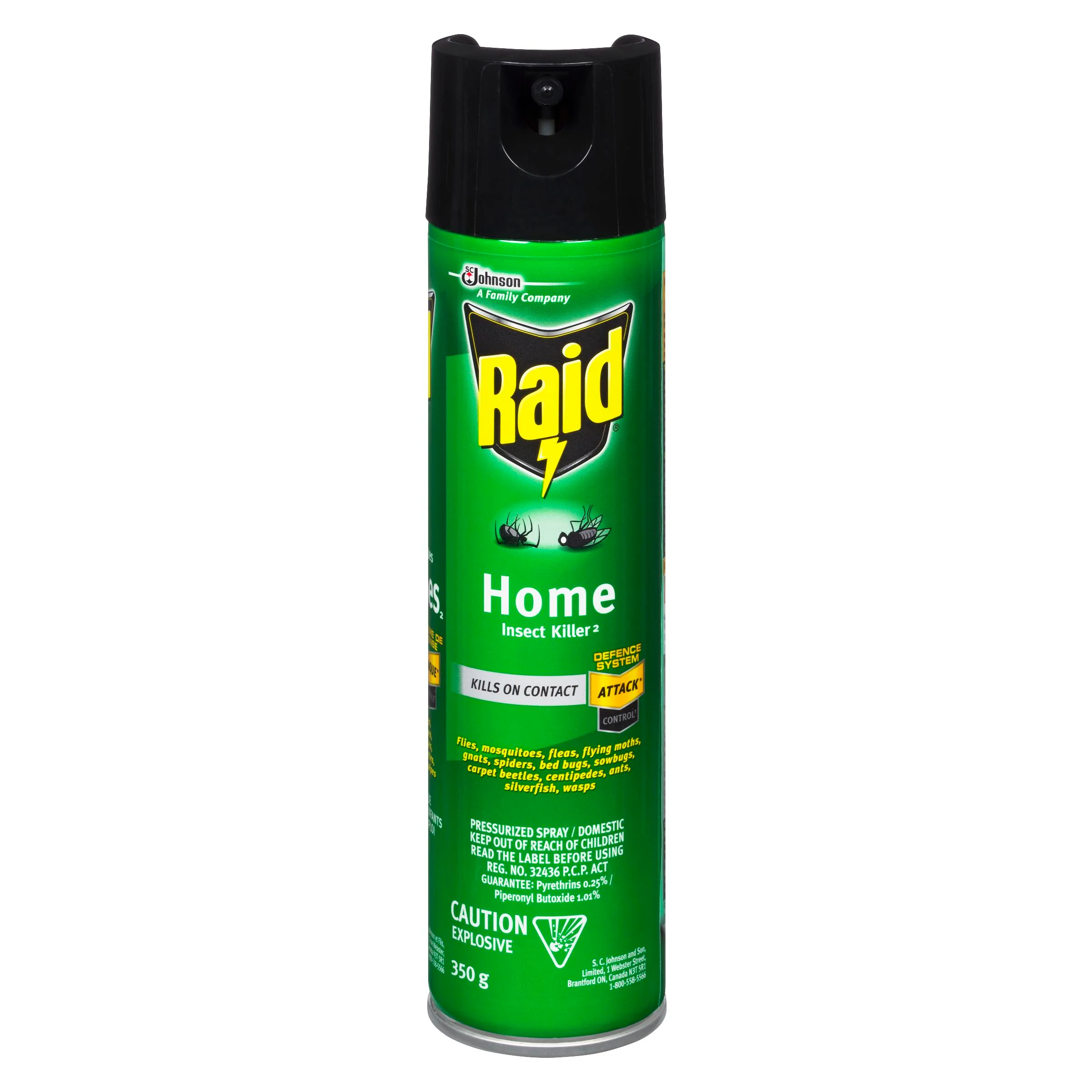 RAID - HOME INSECT KILLER 350GR