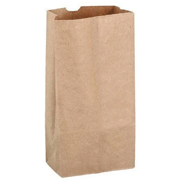 ROSENBLOOM - 20LB BROWN PAPER BAG 500UN