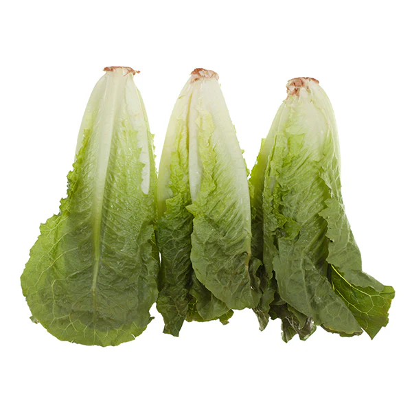 VEGETABLES - LETTUCE ROMAINE HEARTS 3 EA