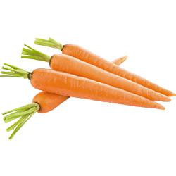 VEGETABLES - CARROTS SHREDDED 4 X 5 LB