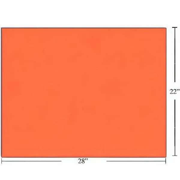 CTG - BRISTOL BOARD FLUORESCENT RED 1 UN