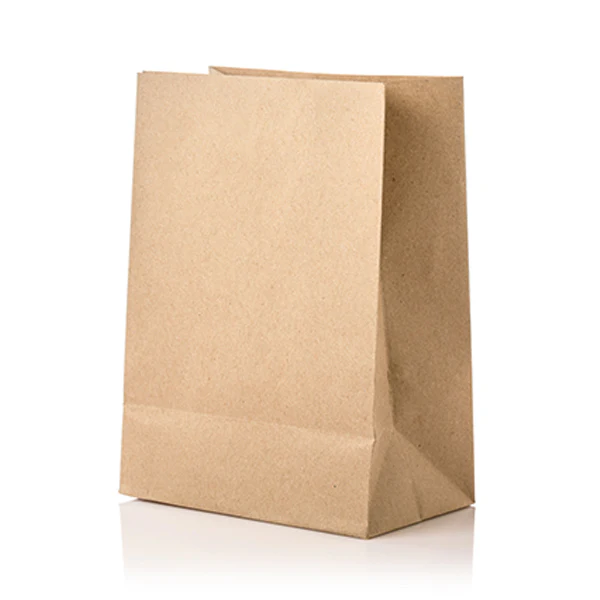 HAVERSACK/SOMI - 1LB BROWN PAPER BAG 500UN