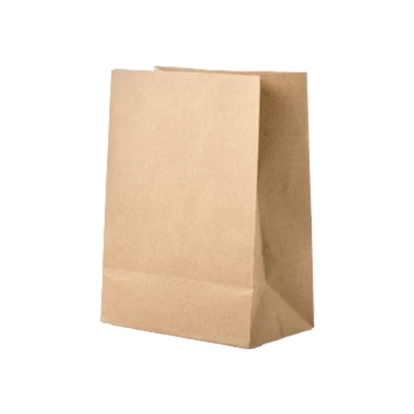 HAVERSACK/SOMI - 5LB BROWN PAPER BAG 500UN