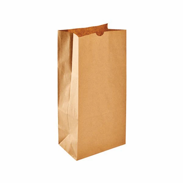 HAVERSACK/SOMI - 8LB BROWN PAPER BAG 500UN
