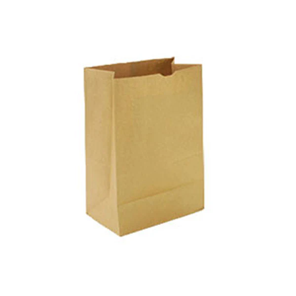 HAVERSACK/SOMI - 12LB BROWN PAPER BAG 500UN