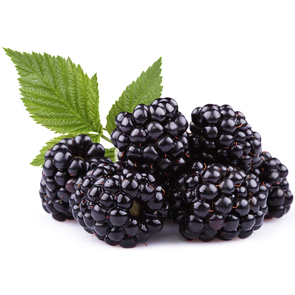 FRUITS - BLACKBERRIES 170G
