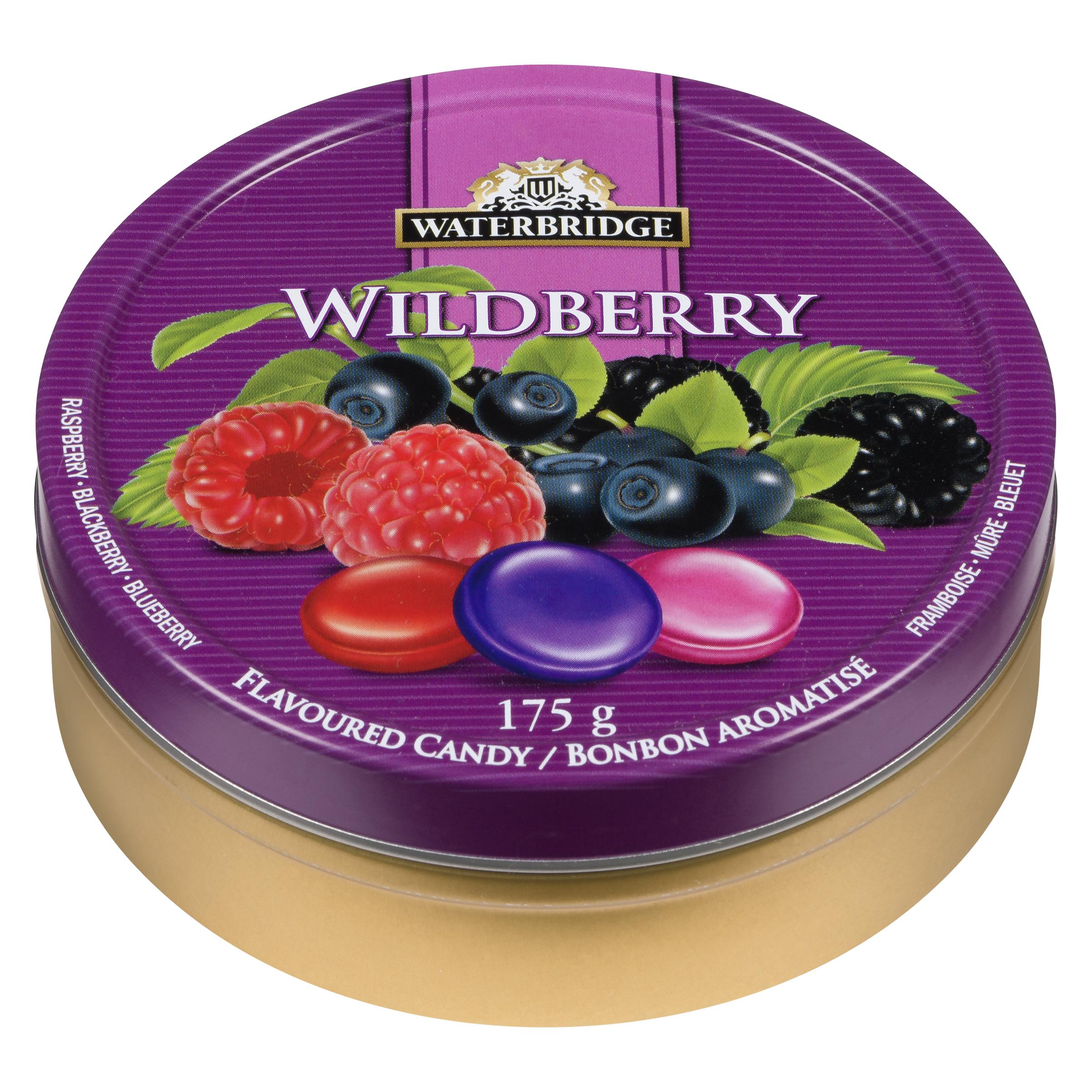 WATERBRIDGE - TRAVEL TIN WILD BERRY 175GR