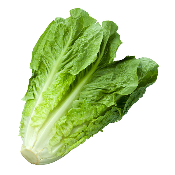 VEGETABLES - LETTUCE ROMAINE HEARTS BAG 6 EA