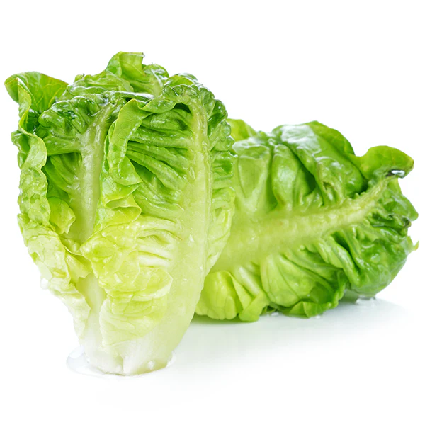 VEGETABLES - LETTUCE ROMAINE 24 EA