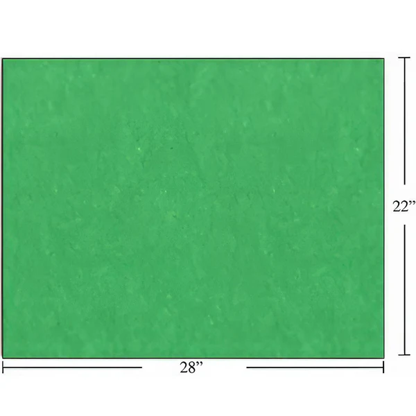 CTG - BRISTOL BOARD GREEN 50x1 UN