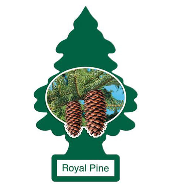 LITTLE TREE - CAR FRESHENER ROYAL PINE 24EA
