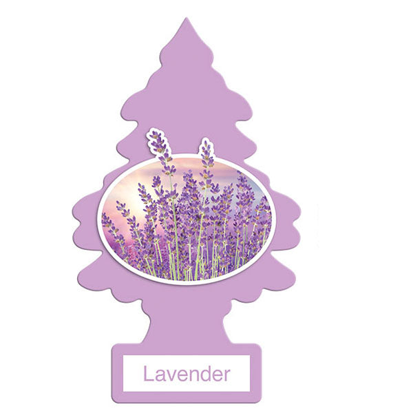 LITTLE TREE - CAR FRESHENER LAVENDER 24EA