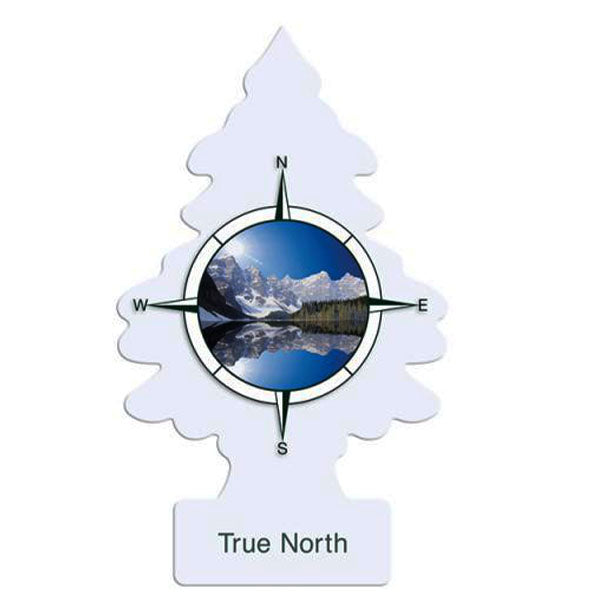 LITTLE TREE - CAR FRESHENER TRUE NORTH 24EA