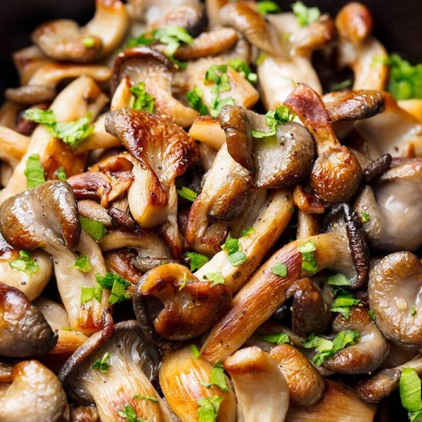 SURGITAL - COUNTRYSIDE MUSHROOM BLEND 1KG