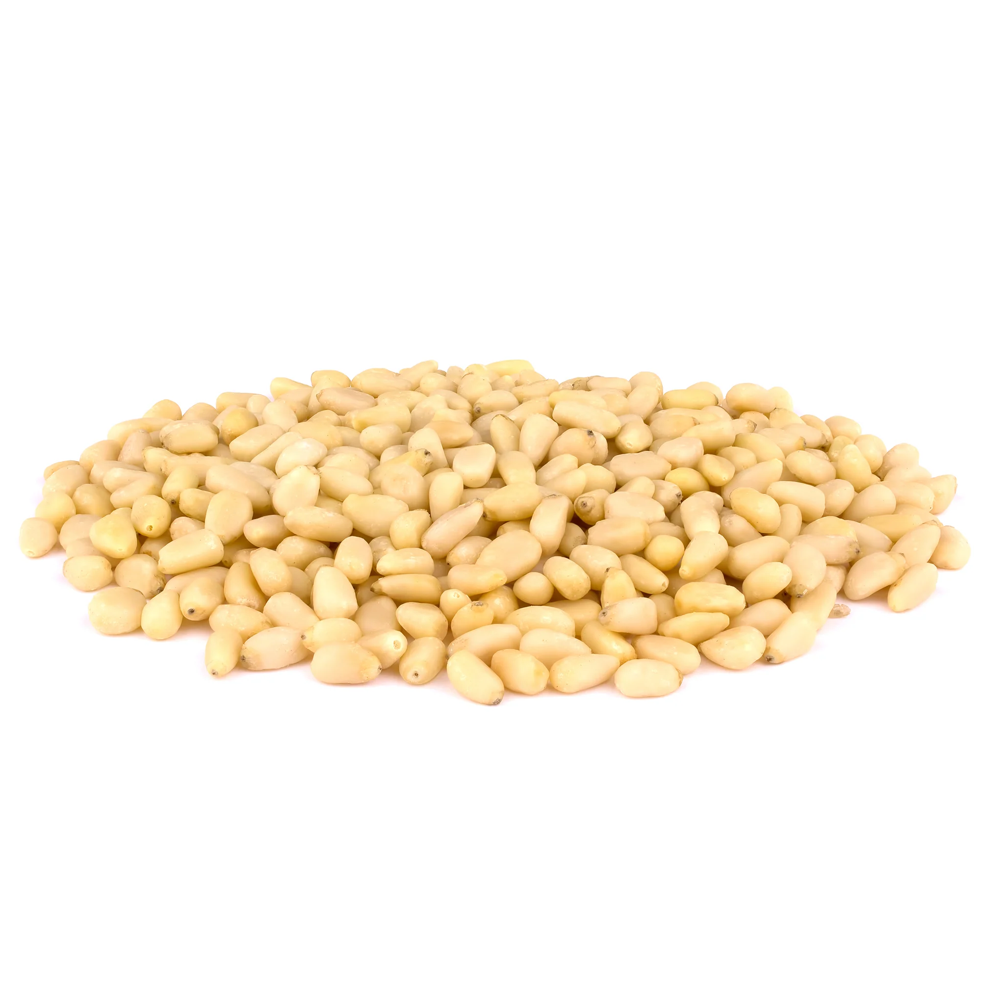 Pine Nut Kernels