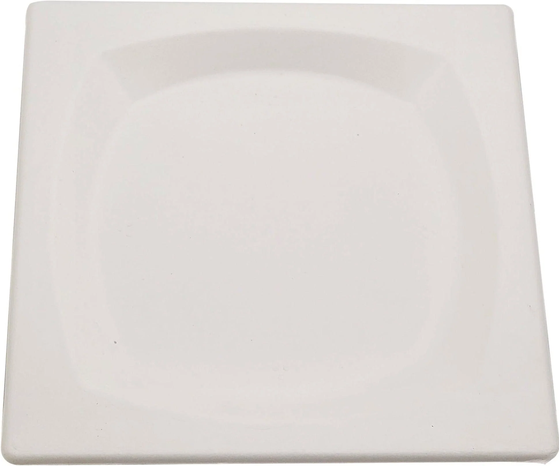 Eco-Craze - 8" Square Plate - Biodegradable
