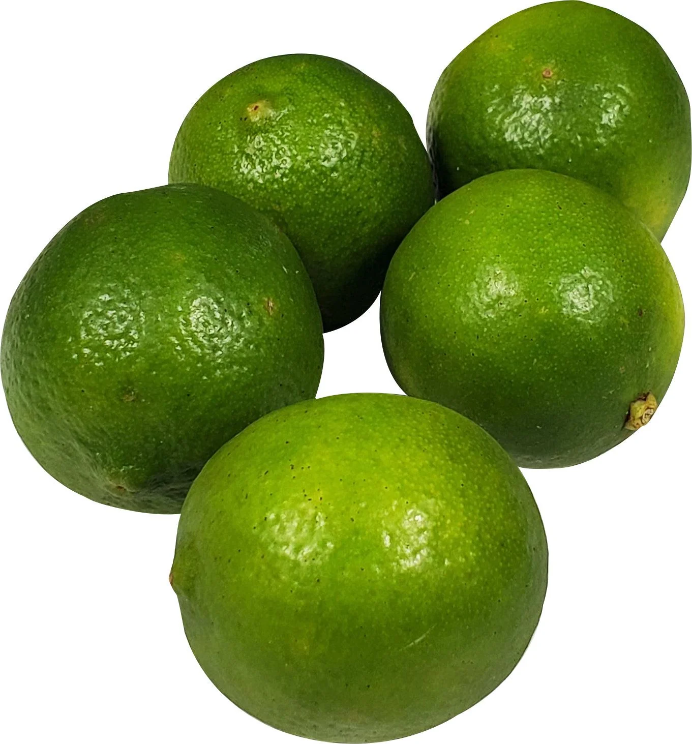 Fresh - Lime — Case (175 CT)