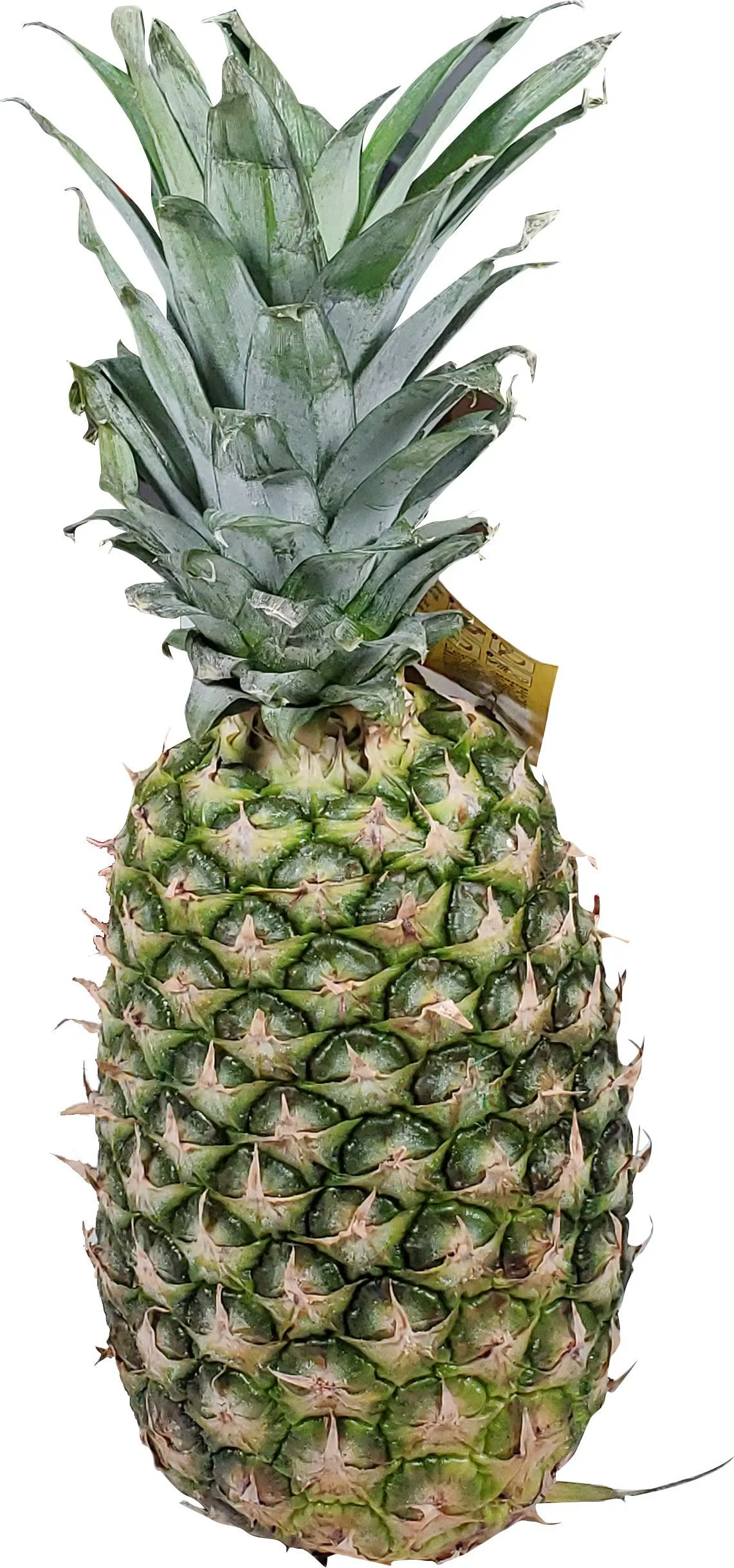 Fresh - Pineapple — Case (7 CT)