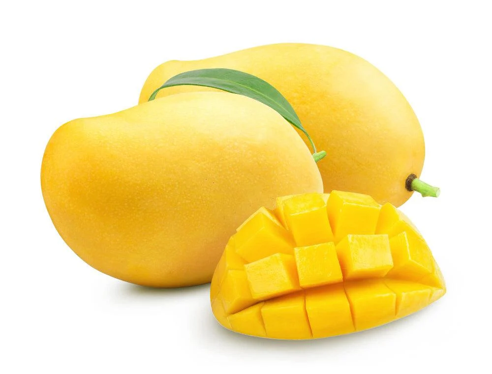 Fresh - Tommy/Haden/Kent Mango (Size 9) — Case (9 CT)