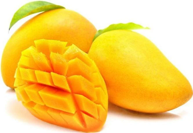 Fresh - Ataulfa Mango (Size 12) — Case (18 CT)