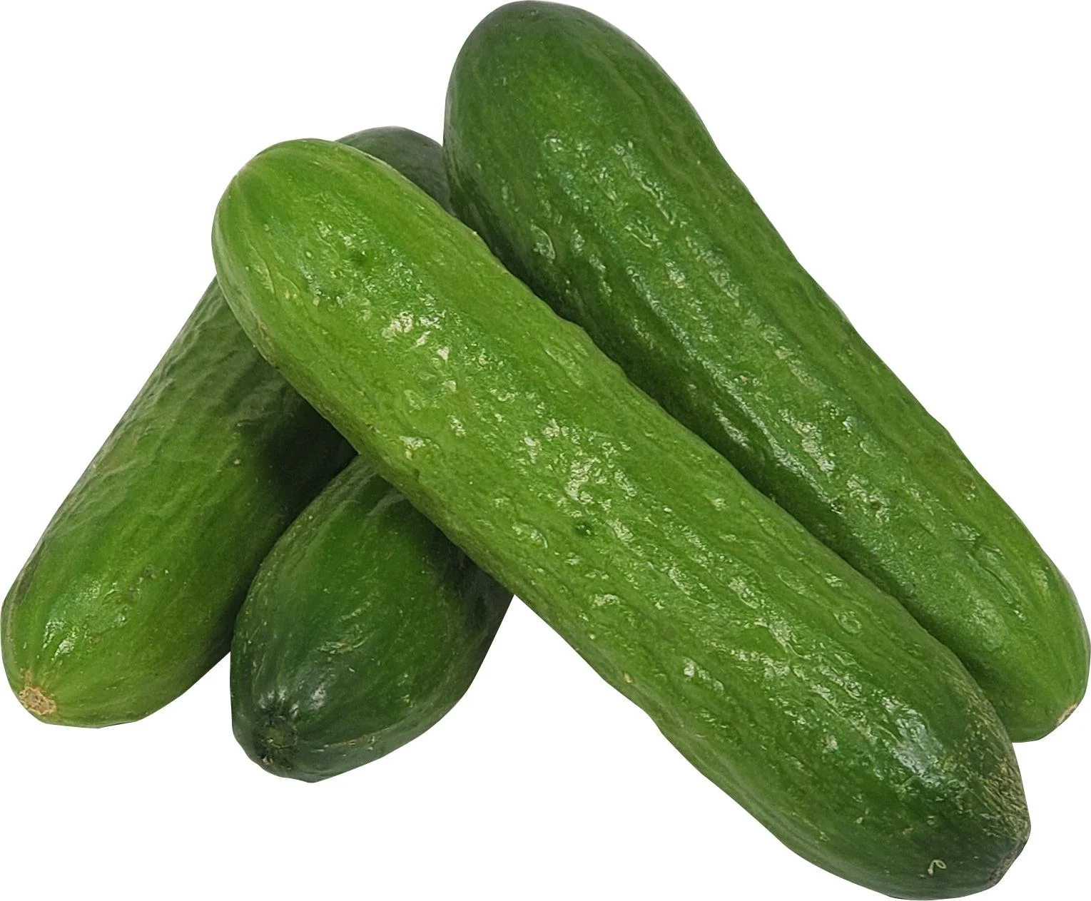 Fresh - Cucumber - Baby — Each (18 LB)