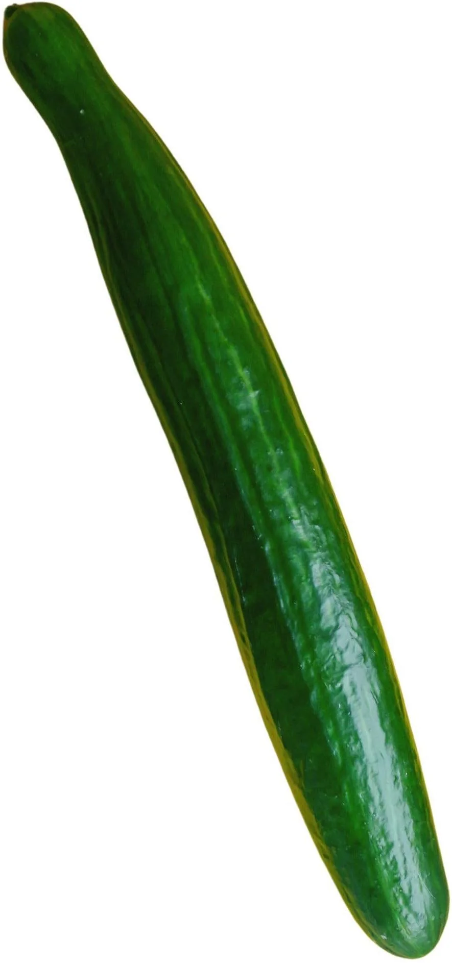 Fresh - Cucumber - English — Case (30 CT)