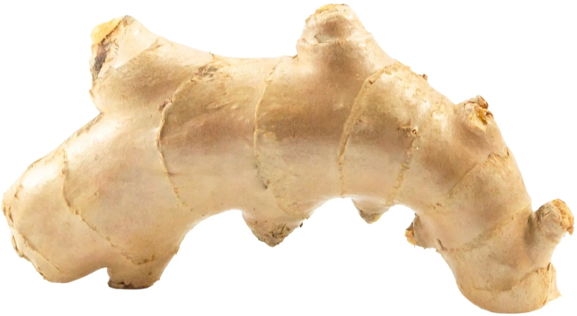 Fresh - Ginger — Each (5 LB)