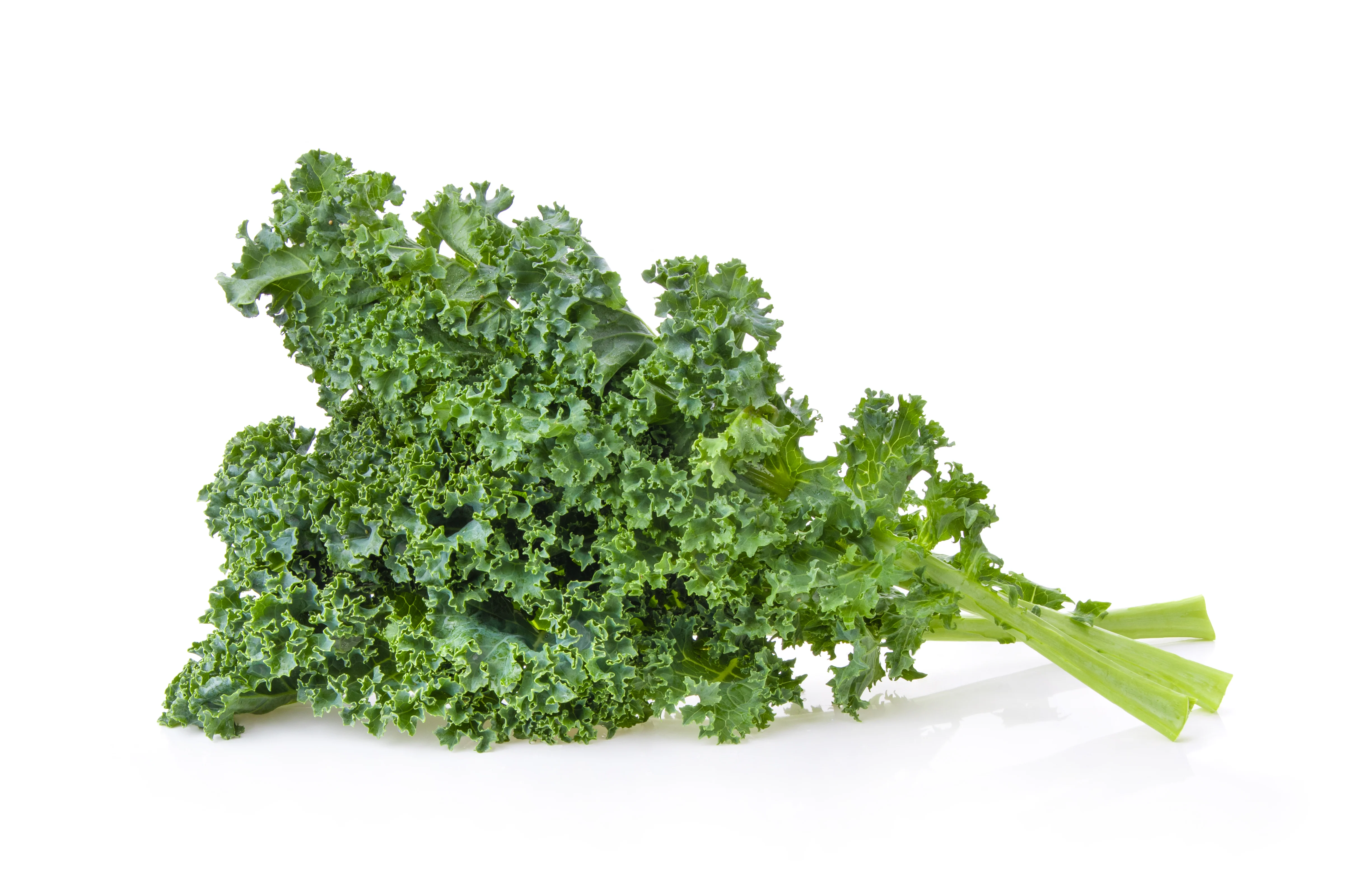 Fresh - Green Kale (Bunch) — Each (1 CT)