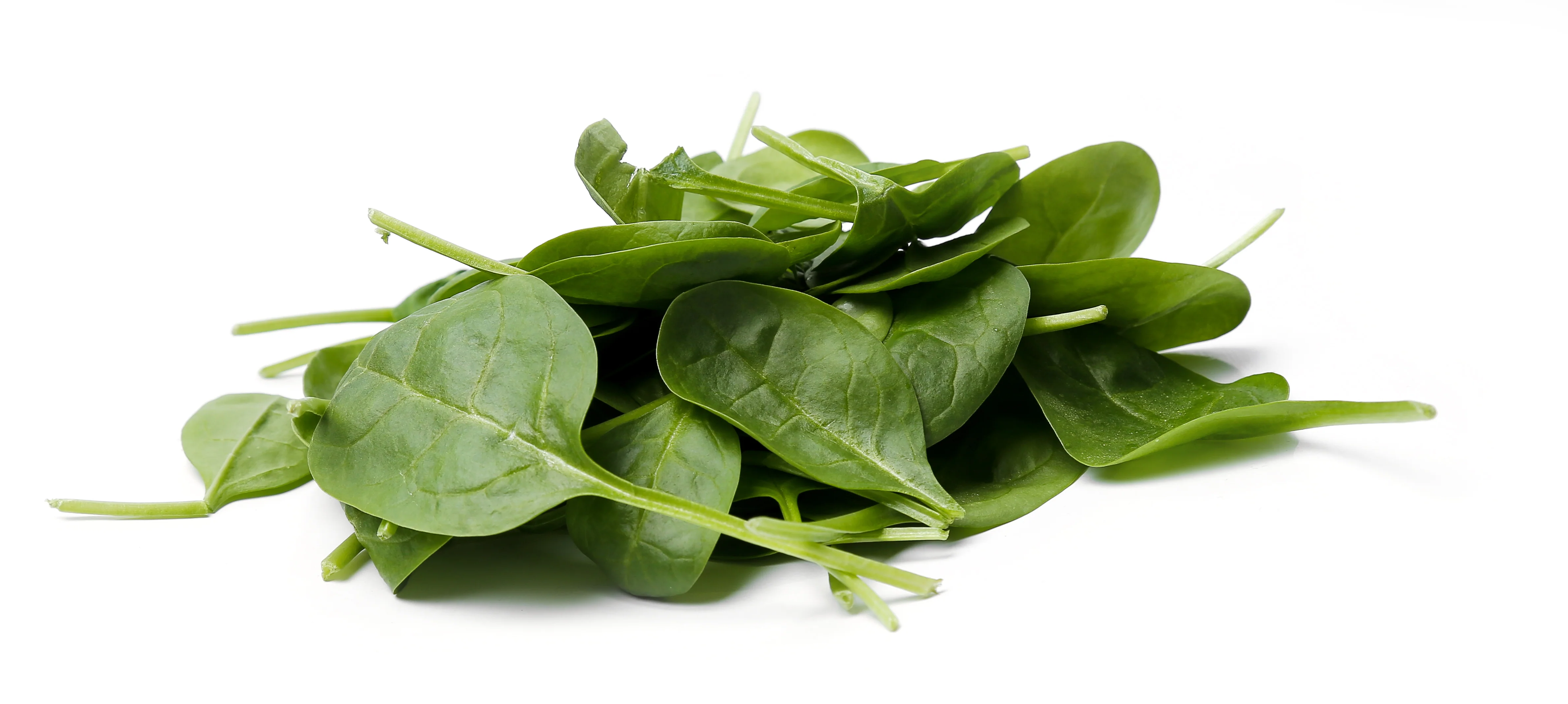 Fresh - Spinach - Baby — Each (4 LB)