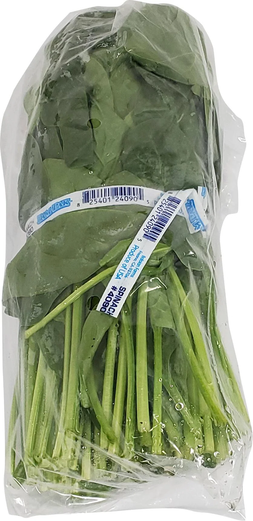 Fresh - Spinach - Bunch — Case (12 CT)