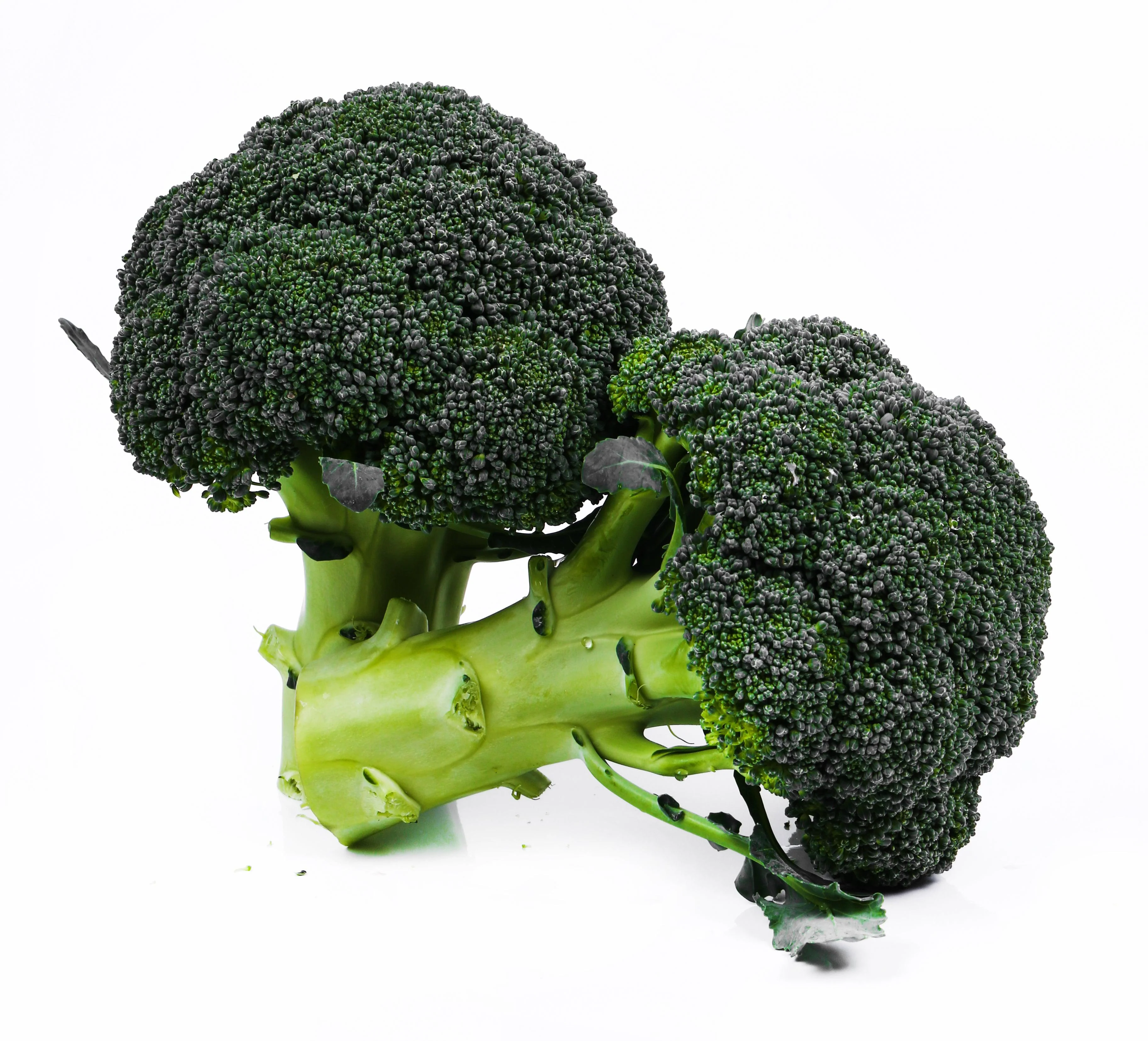 Fresh - Broccoli Crown — Each (20 LB)