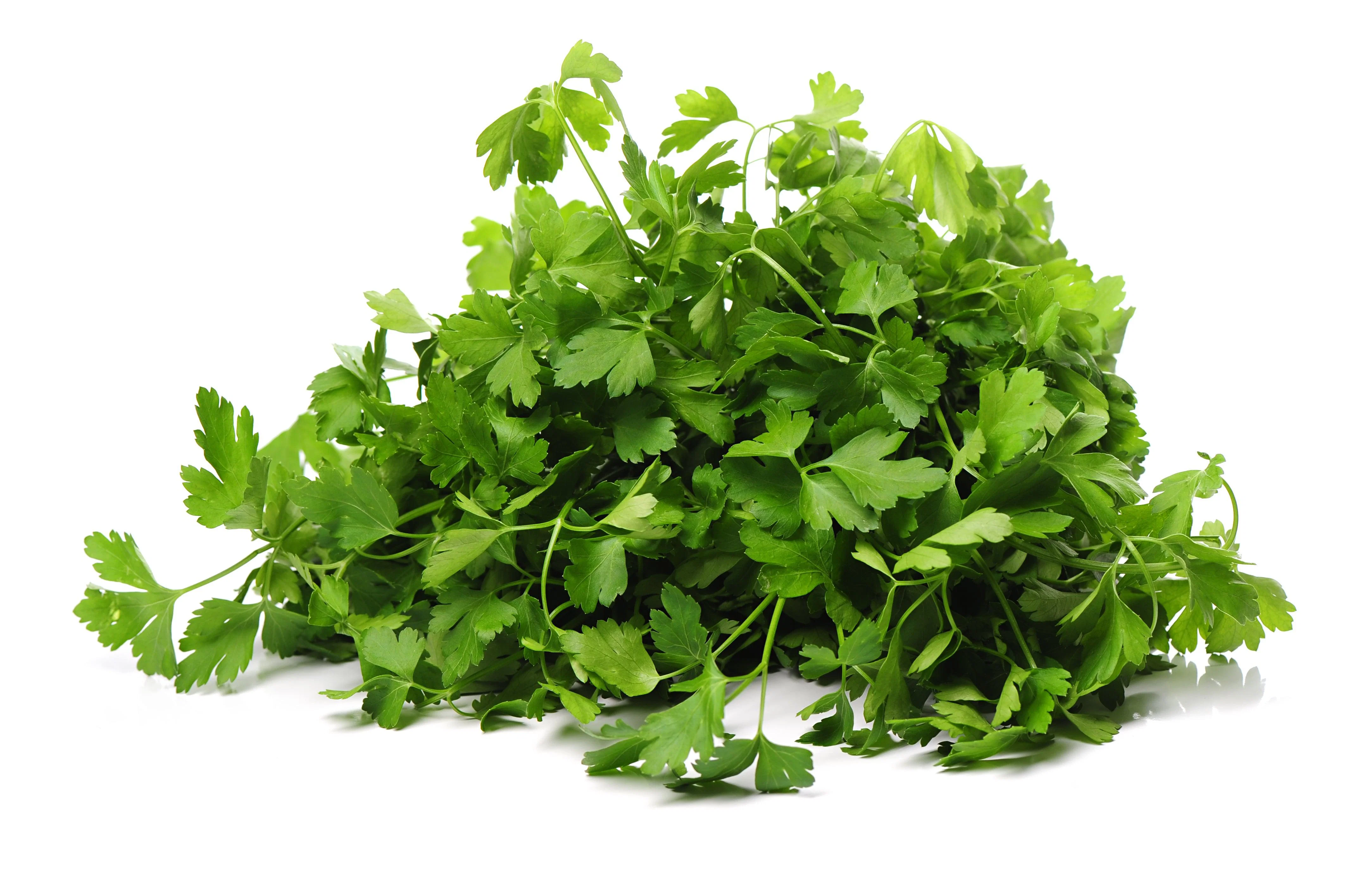 Fresh - Parsley - Italian — Case (60 CT)
